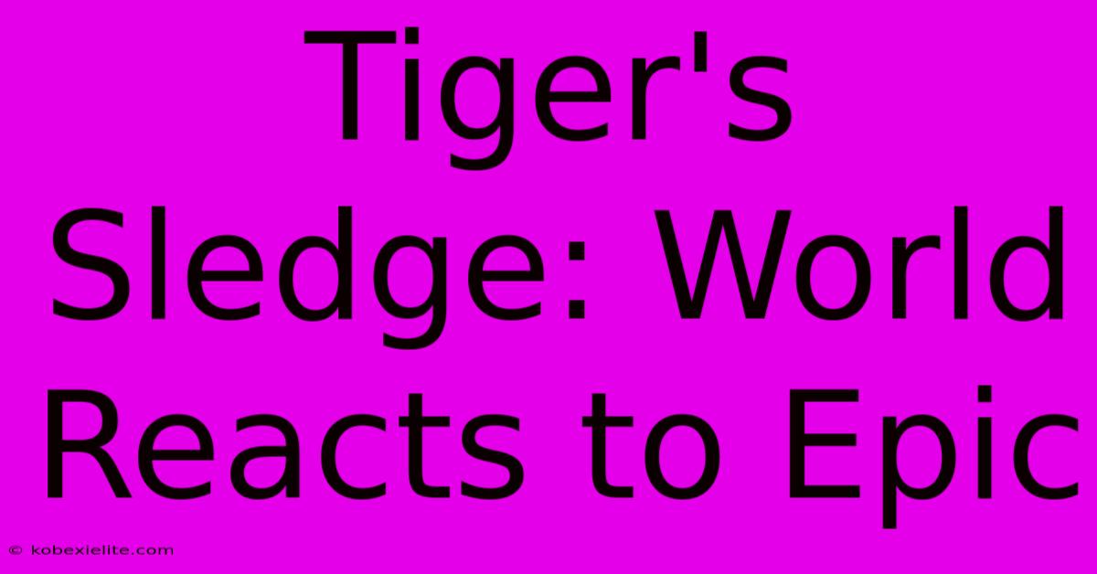 Tiger's Sledge: World Reacts To Epic