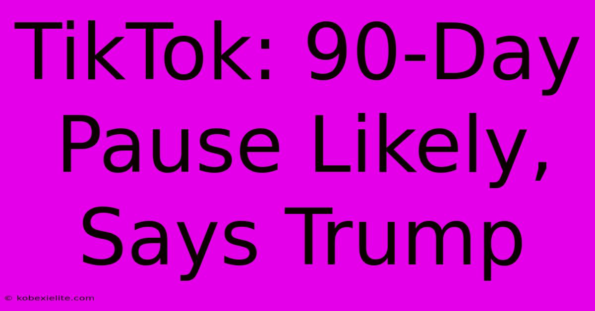 TikTok: 90-Day Pause Likely, Says Trump