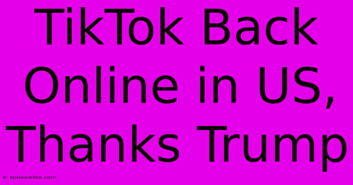 TikTok Back Online In US, Thanks Trump