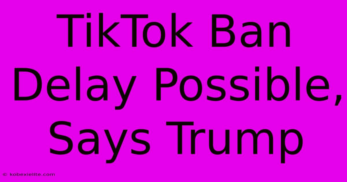 TikTok Ban Delay Possible, Says Trump