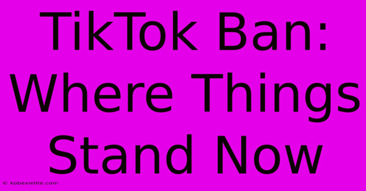 TikTok Ban: Where Things Stand Now