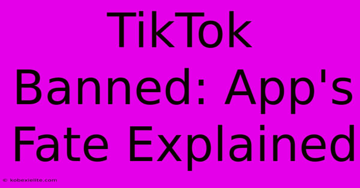 TikTok Banned: App's Fate Explained