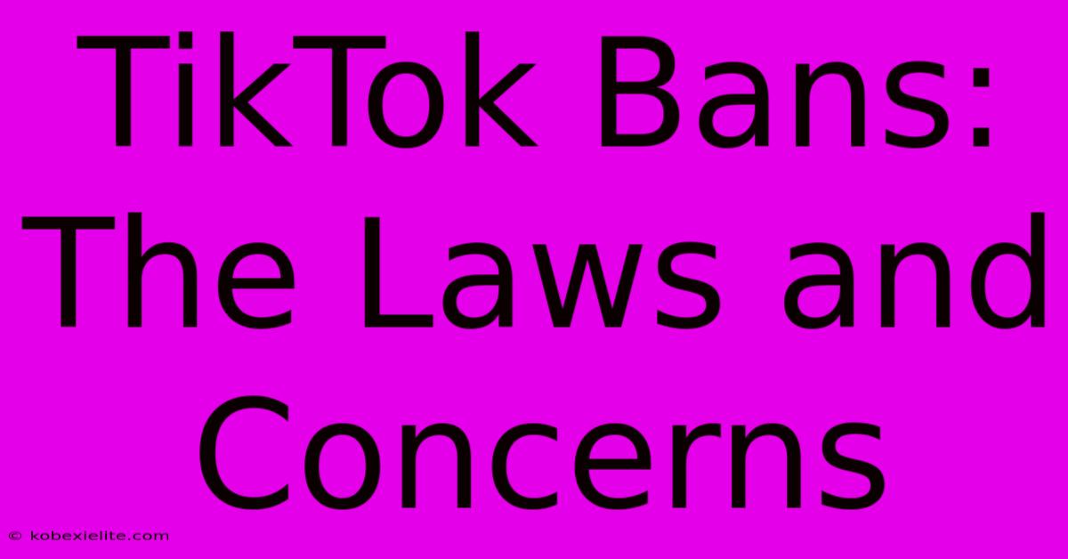 TikTok Bans:  The Laws And Concerns