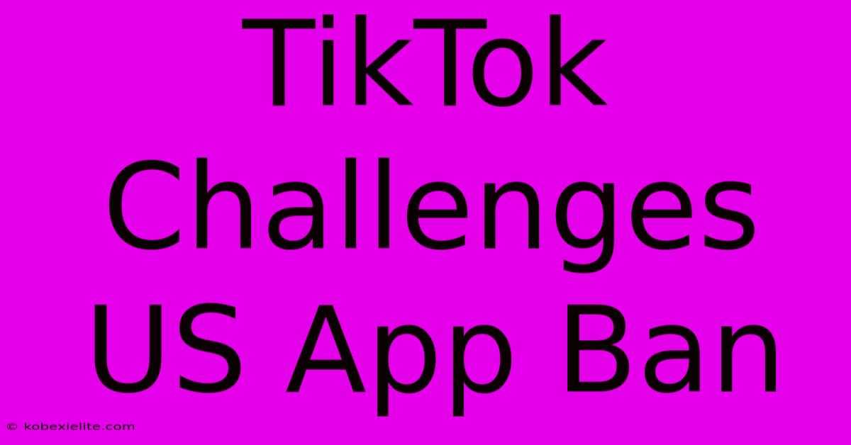 TikTok Challenges US App Ban