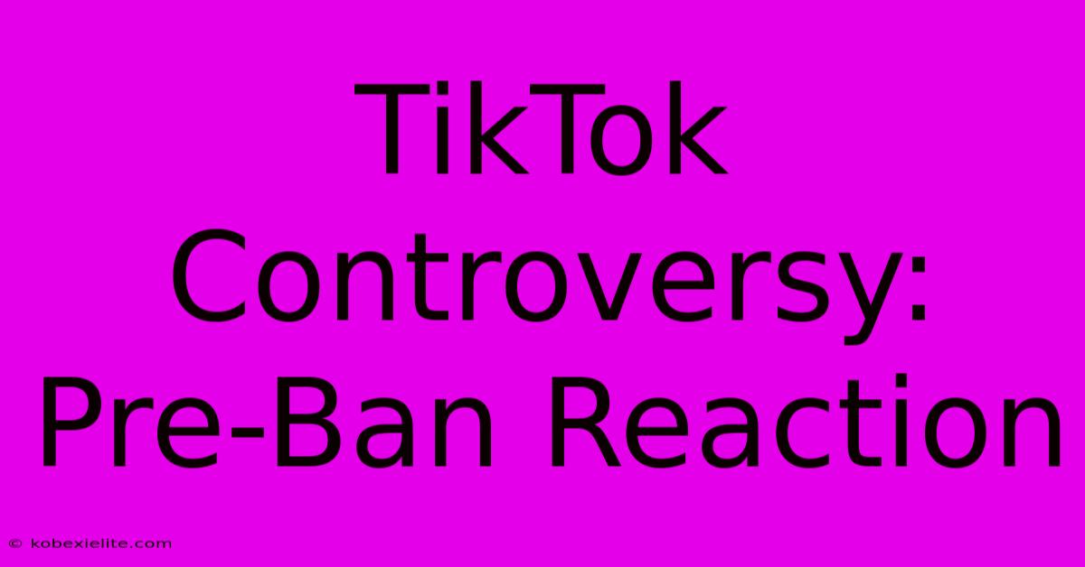 TikTok Controversy: Pre-Ban Reaction