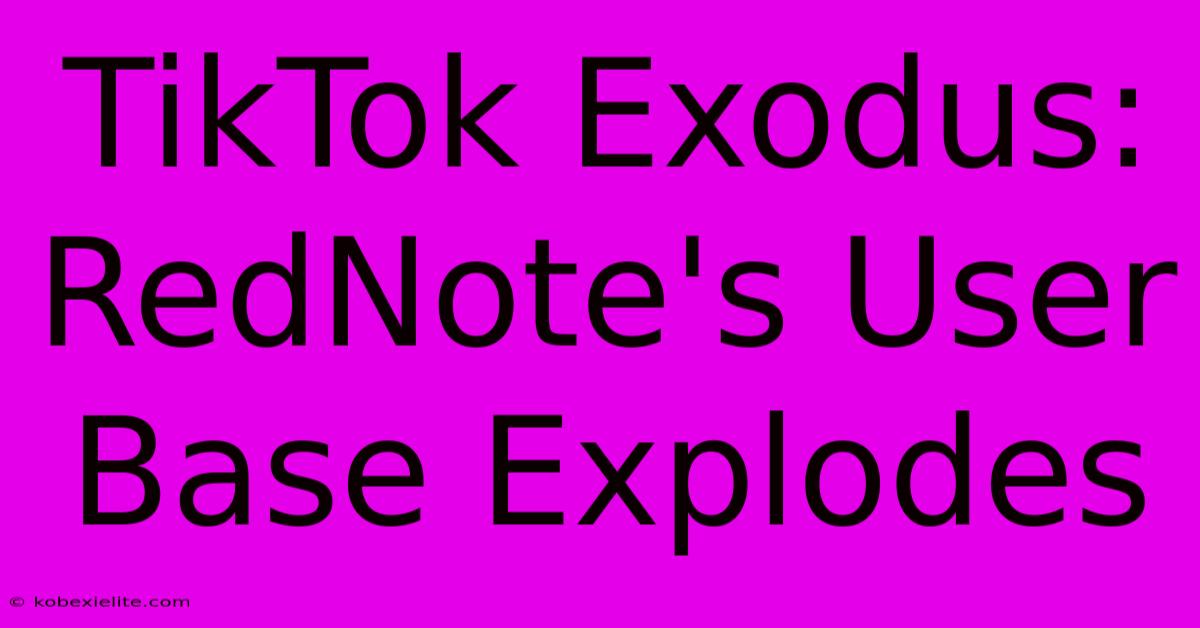 TikTok Exodus: RedNote's User Base Explodes