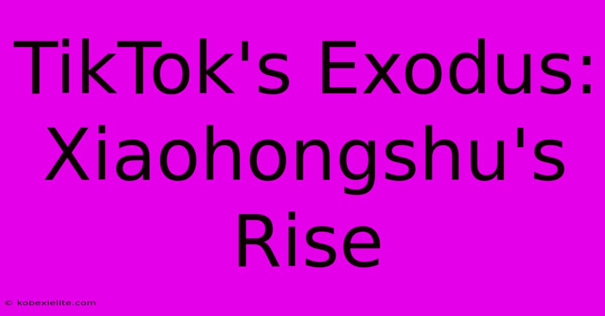 TikTok's Exodus: Xiaohongshu's Rise