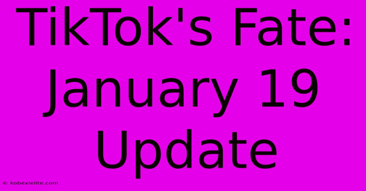 TikTok's Fate: January 19 Update