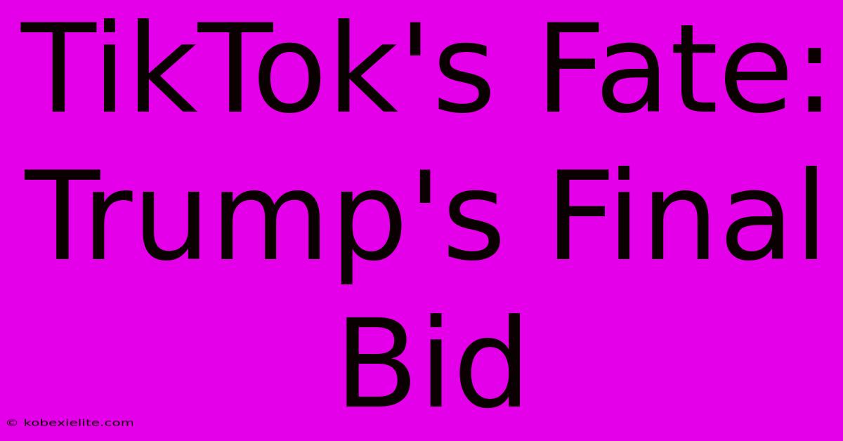 TikTok's Fate: Trump's Final Bid