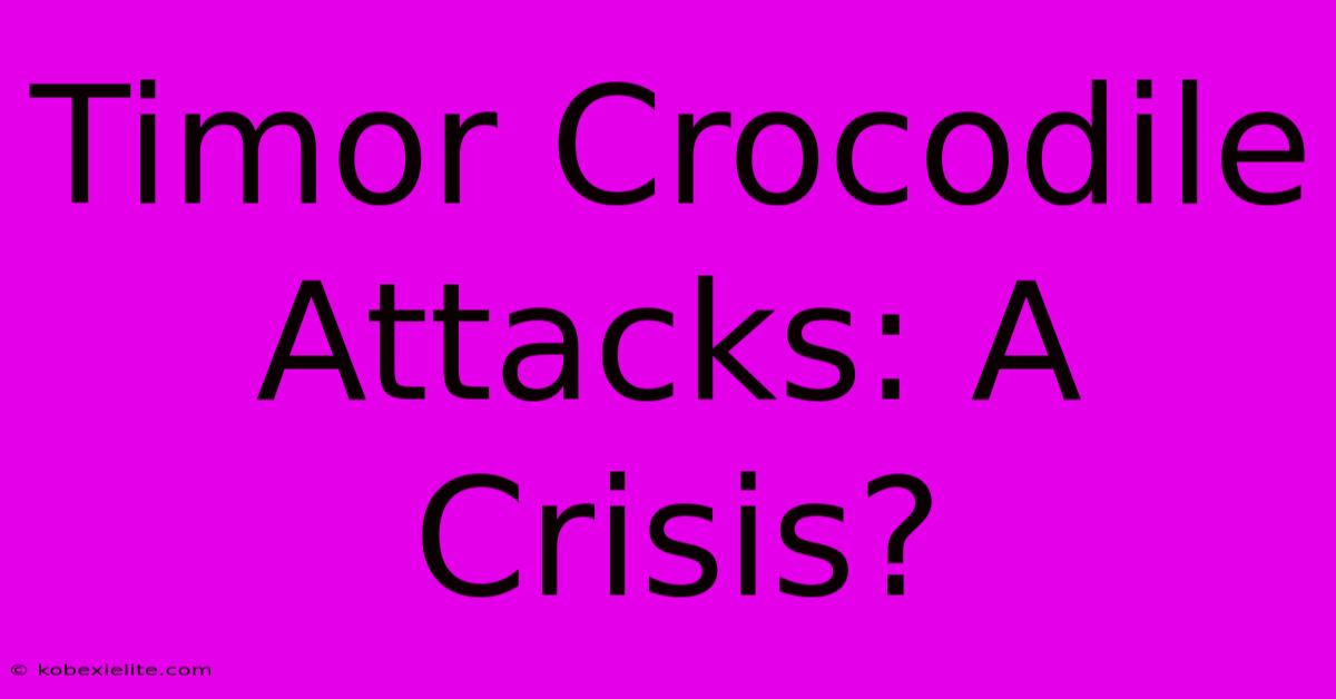 Timor Crocodile Attacks: A Crisis?