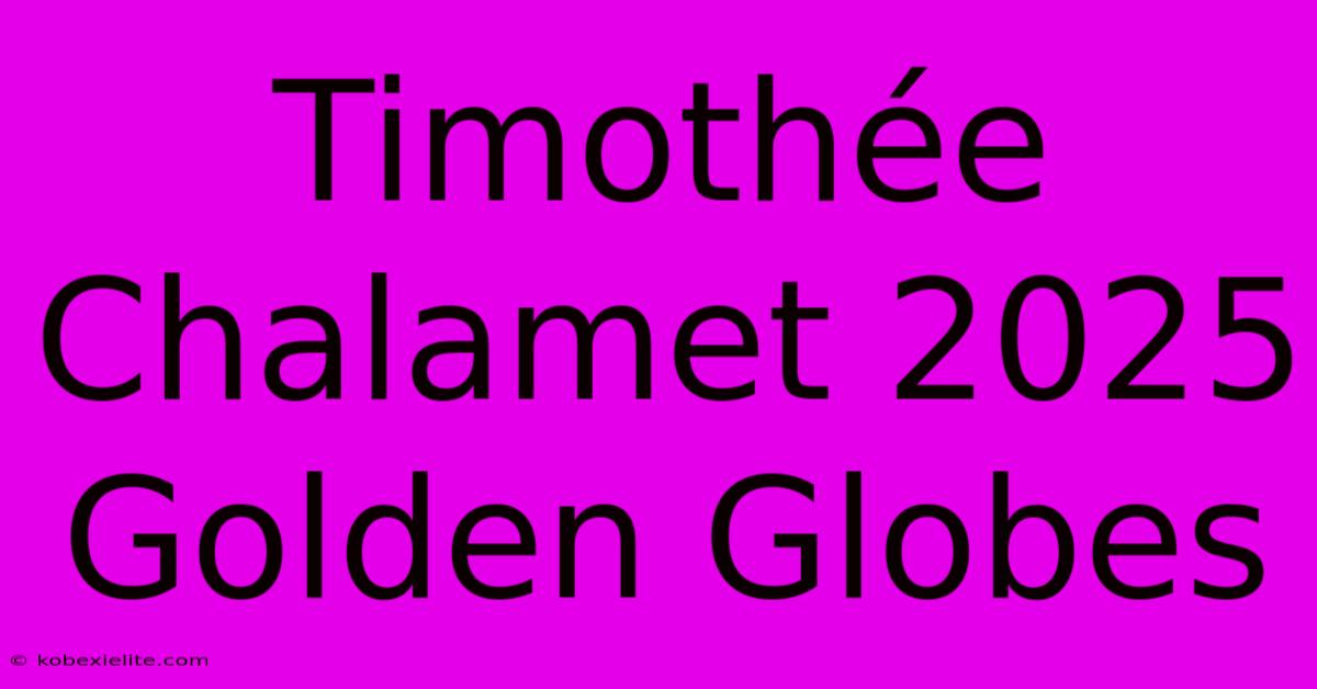 Timothée Chalamet 2025 Golden Globes