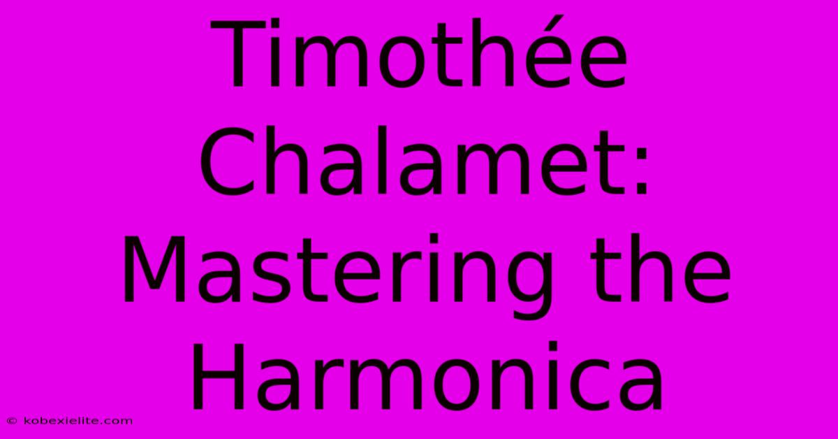 Timothée Chalamet: Mastering The Harmonica