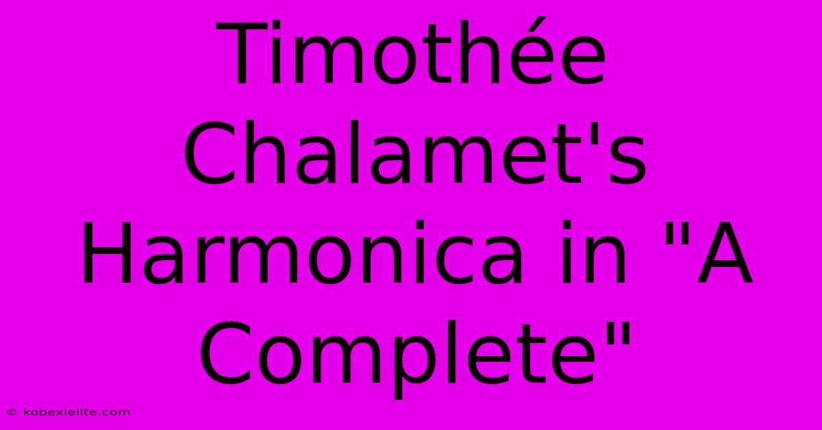 Timothée Chalamet's Harmonica In 