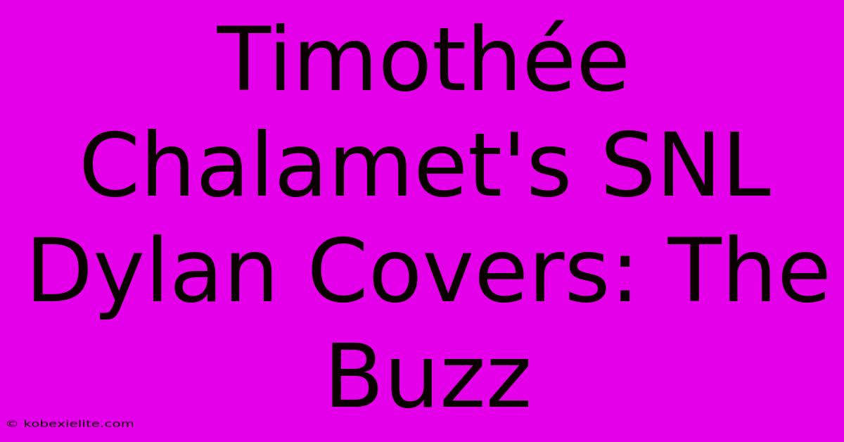 Timothée Chalamet's SNL Dylan Covers: The Buzz