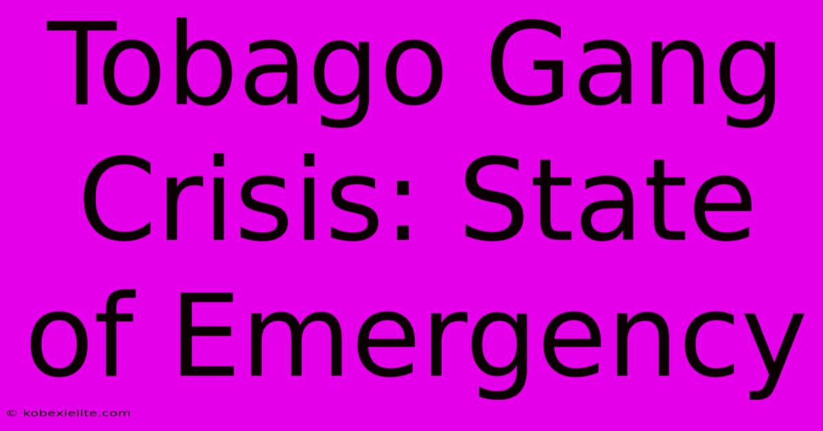 Tobago Gang Crisis: State Of Emergency