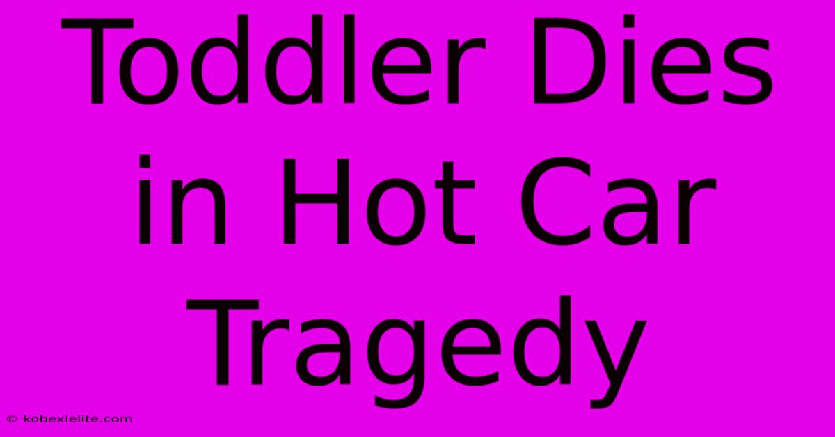 Toddler Dies In Hot Car Tragedy