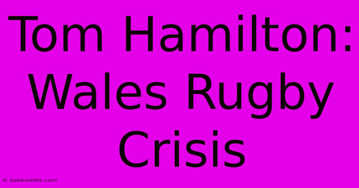 Tom Hamilton: Wales Rugby Crisis