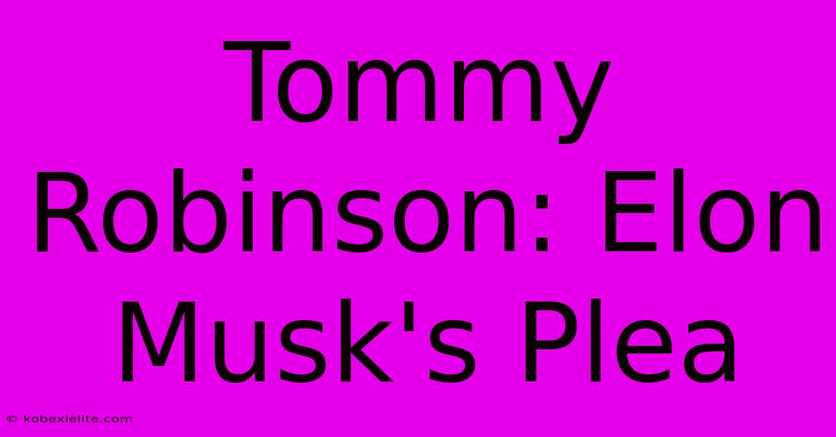 Tommy Robinson: Elon Musk's Plea