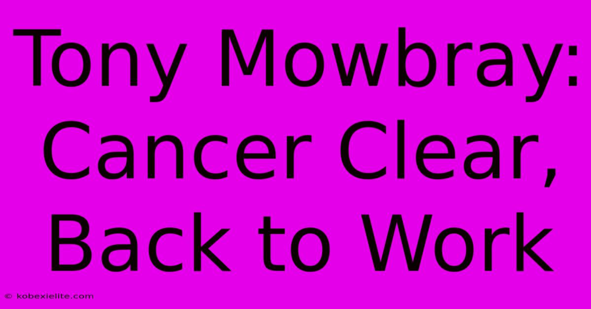 Tony Mowbray: Cancer Clear, Back To Work