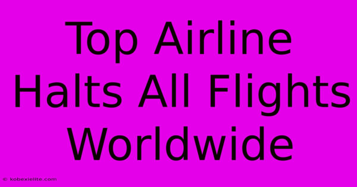 Top Airline Halts All Flights Worldwide