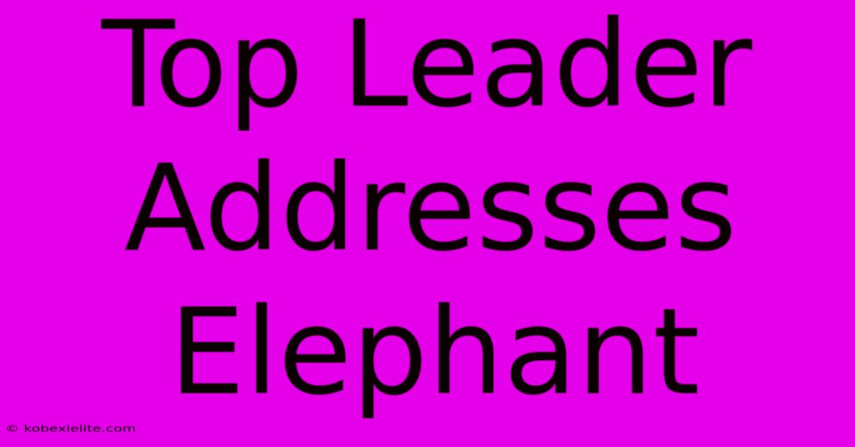 Top Leader Addresses Elephant