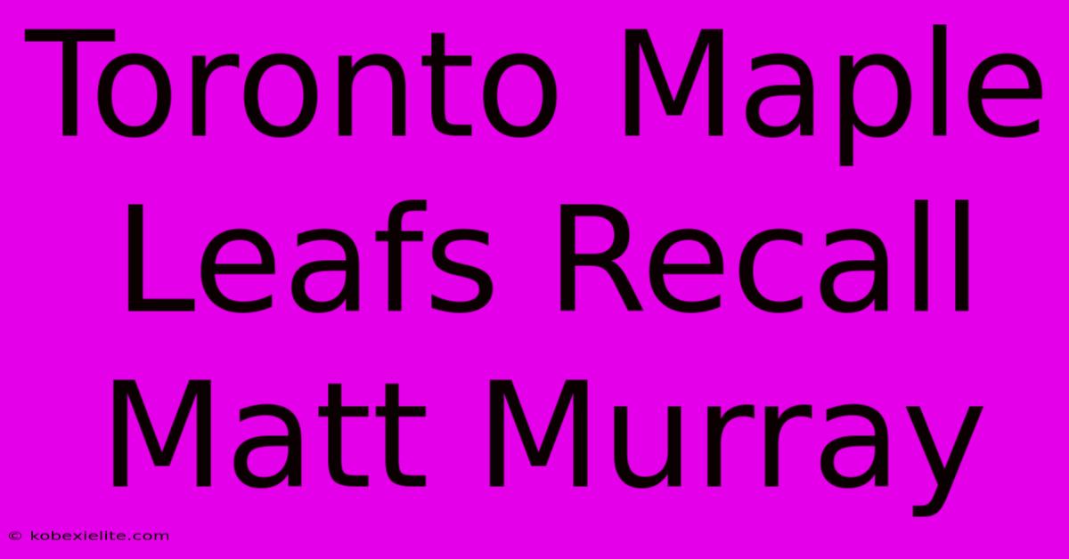 Toronto Maple Leafs Recall Matt Murray