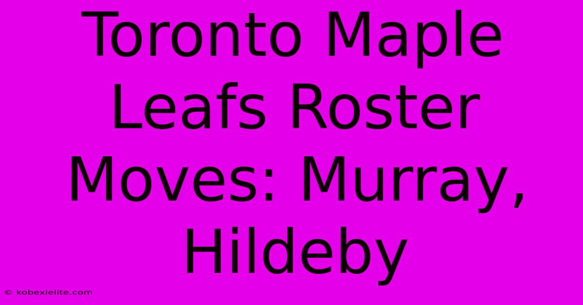 Toronto Maple Leafs Roster Moves: Murray, Hildeby