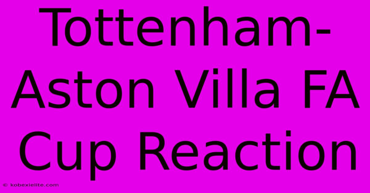 Tottenham-Aston Villa FA Cup Reaction