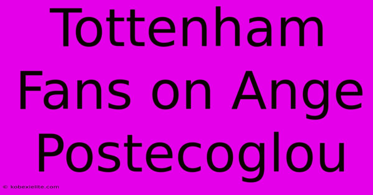 Tottenham Fans On Ange Postecoglou