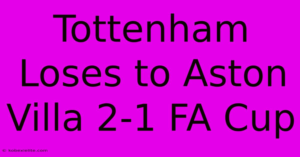 Tottenham Loses To Aston Villa 2-1 FA Cup