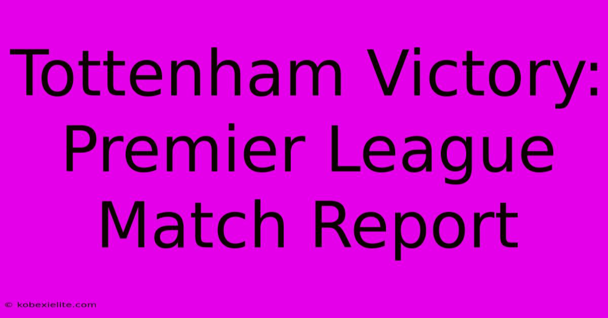 Tottenham Victory: Premier League Match Report Tottenham Victory: Premier League Match Report