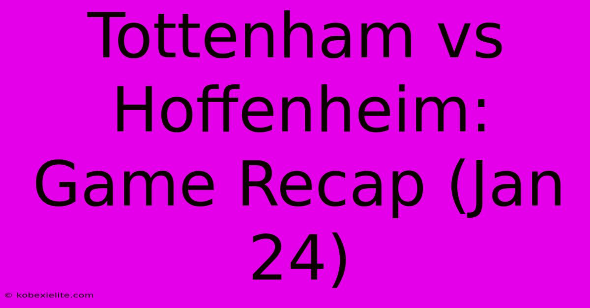 Tottenham Vs Hoffenheim: Game Recap (Jan 24)