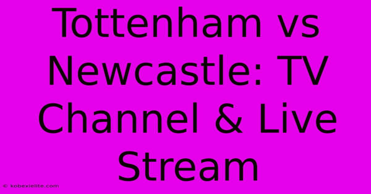 Tottenham Vs Newcastle: TV Channel & Live Stream