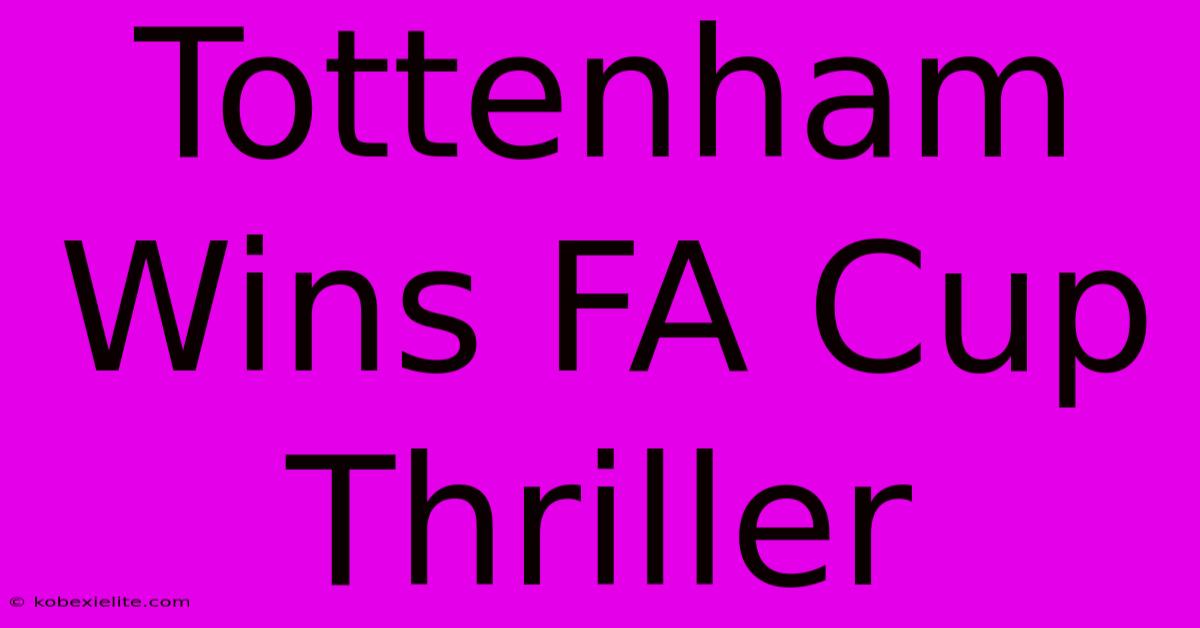 Tottenham Wins FA Cup Thriller