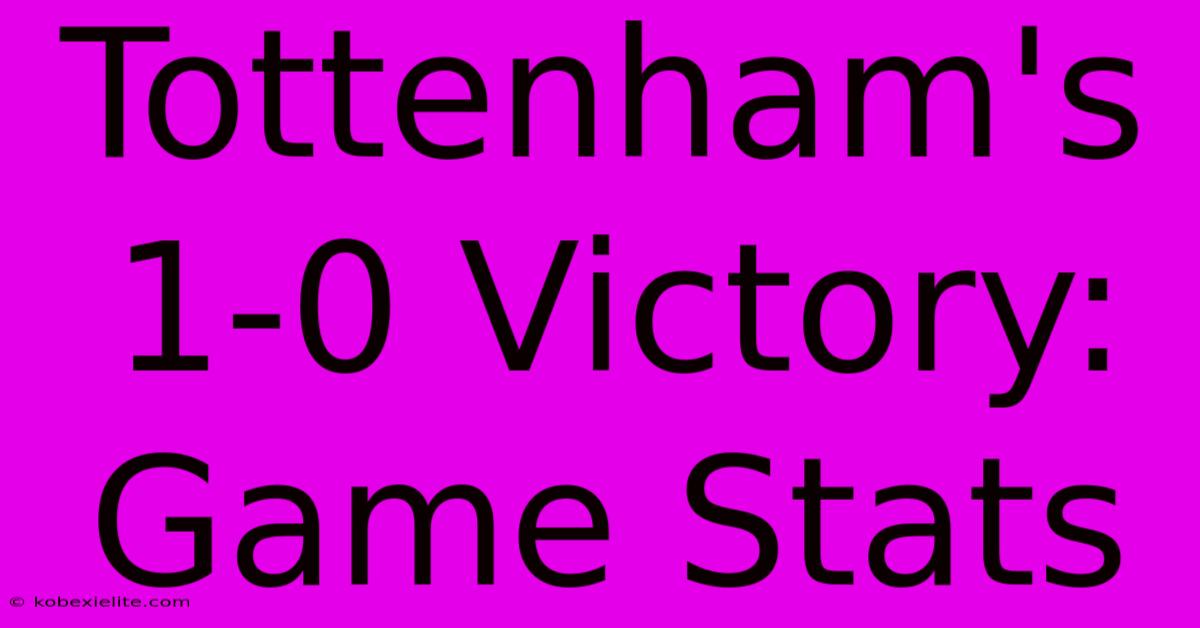 Tottenham's 1-0 Victory: Game Stats