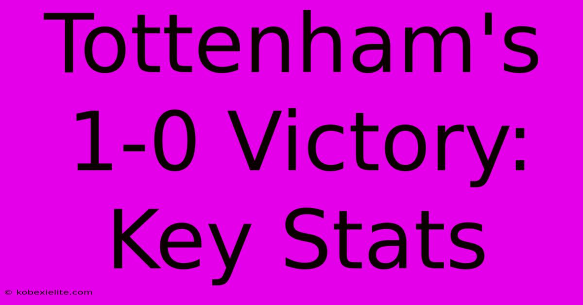 Tottenham's 1-0 Victory: Key Stats