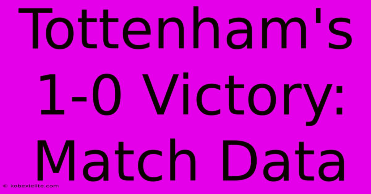 Tottenham's 1-0 Victory: Match Data