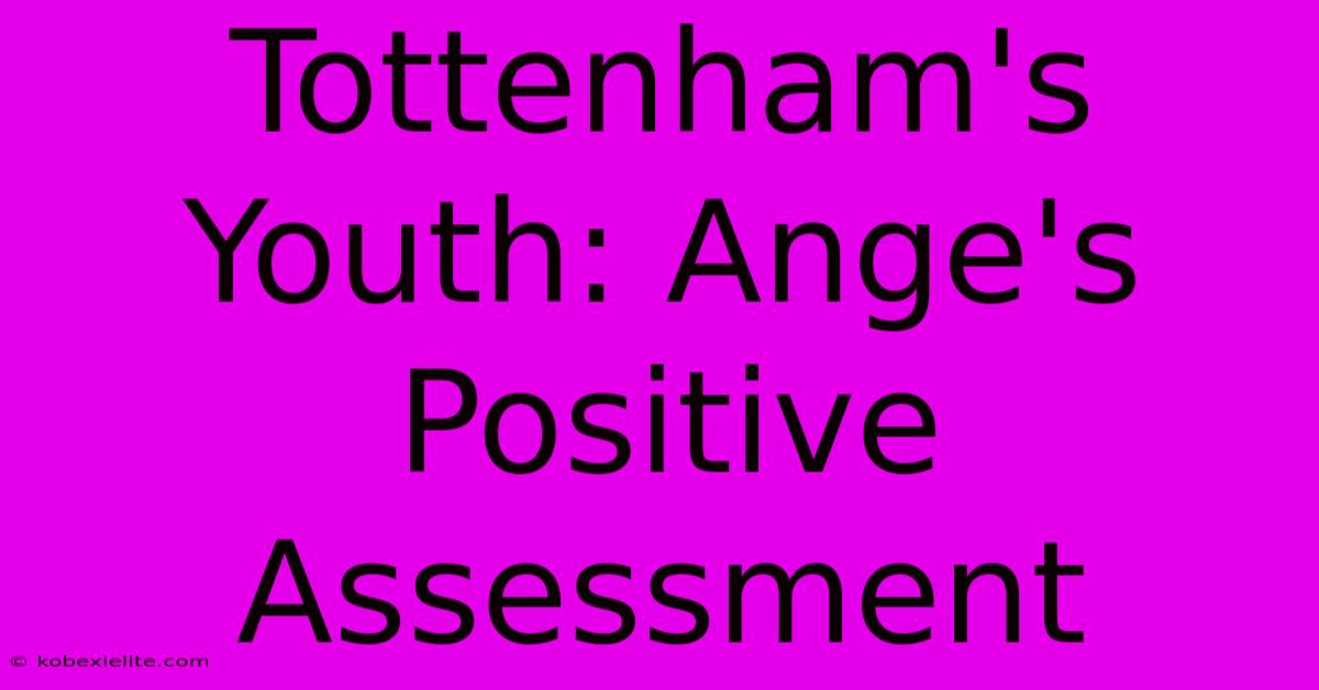 Tottenham's Youth: Ange's Positive Assessment