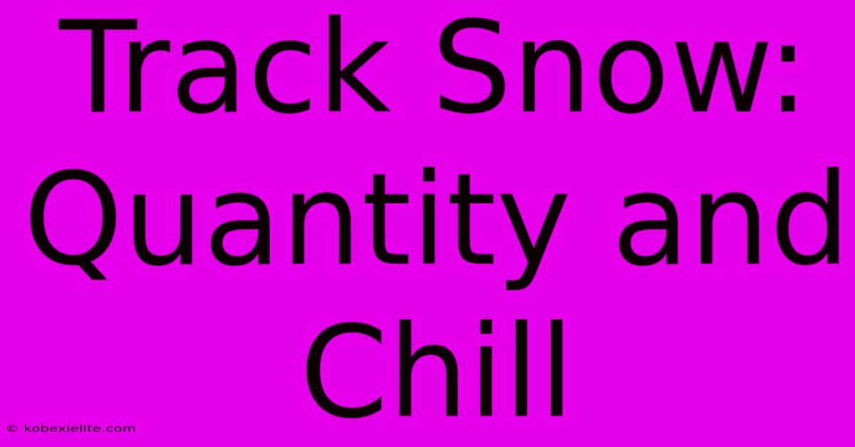 Track Snow: Quantity And Chill