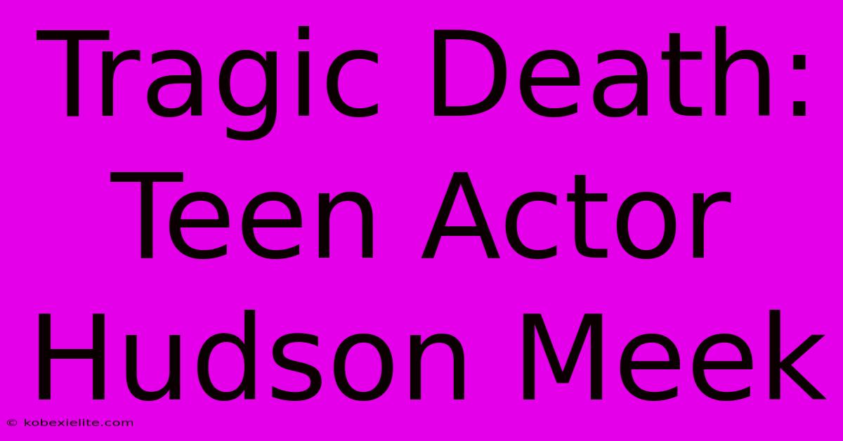 Tragic Death: Teen Actor Hudson Meek