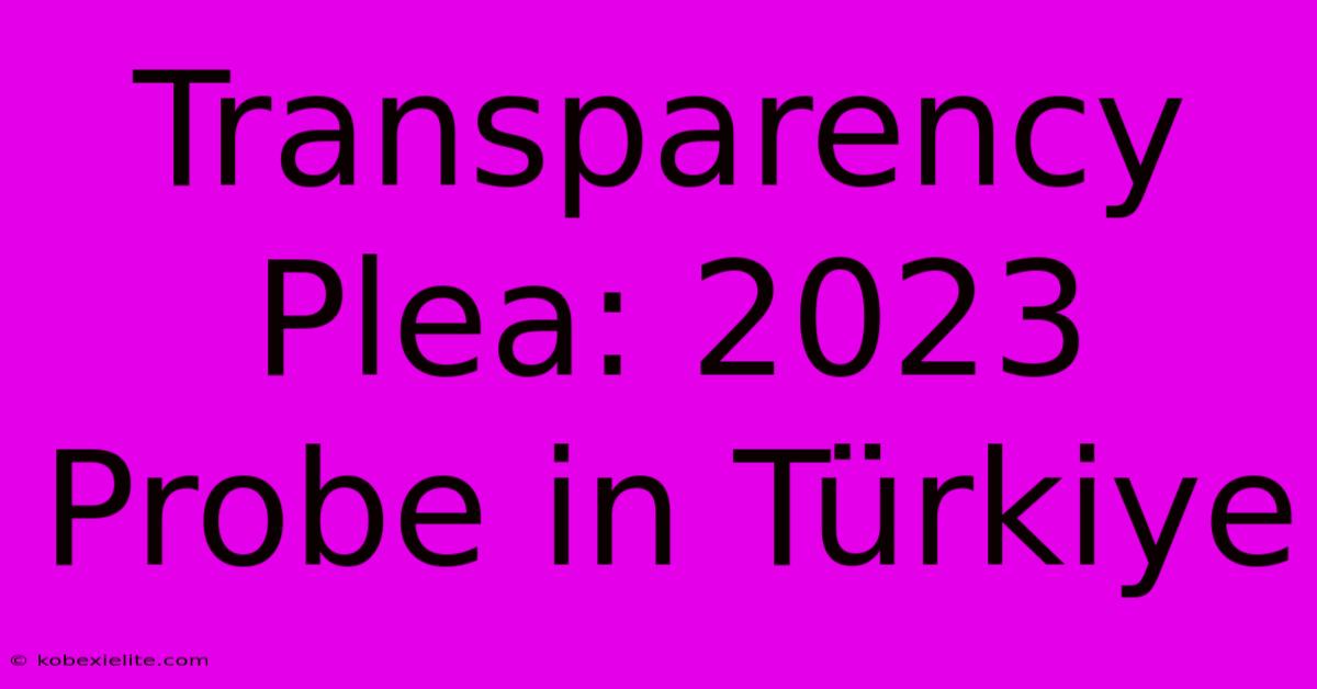 Transparency Plea: 2023 Probe In Türkiye Transparency Plea: 2023 Probe In Türkiye