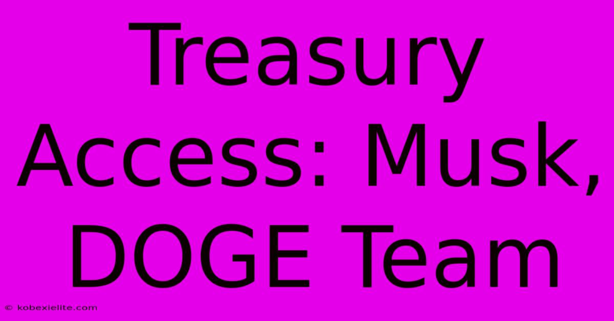 Treasury Access: Musk, DOGE Team