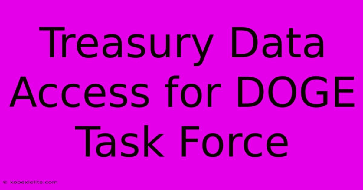 Treasury Data Access For DOGE Task Force