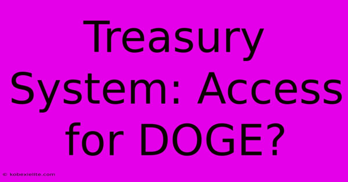 Treasury System: Access For DOGE?