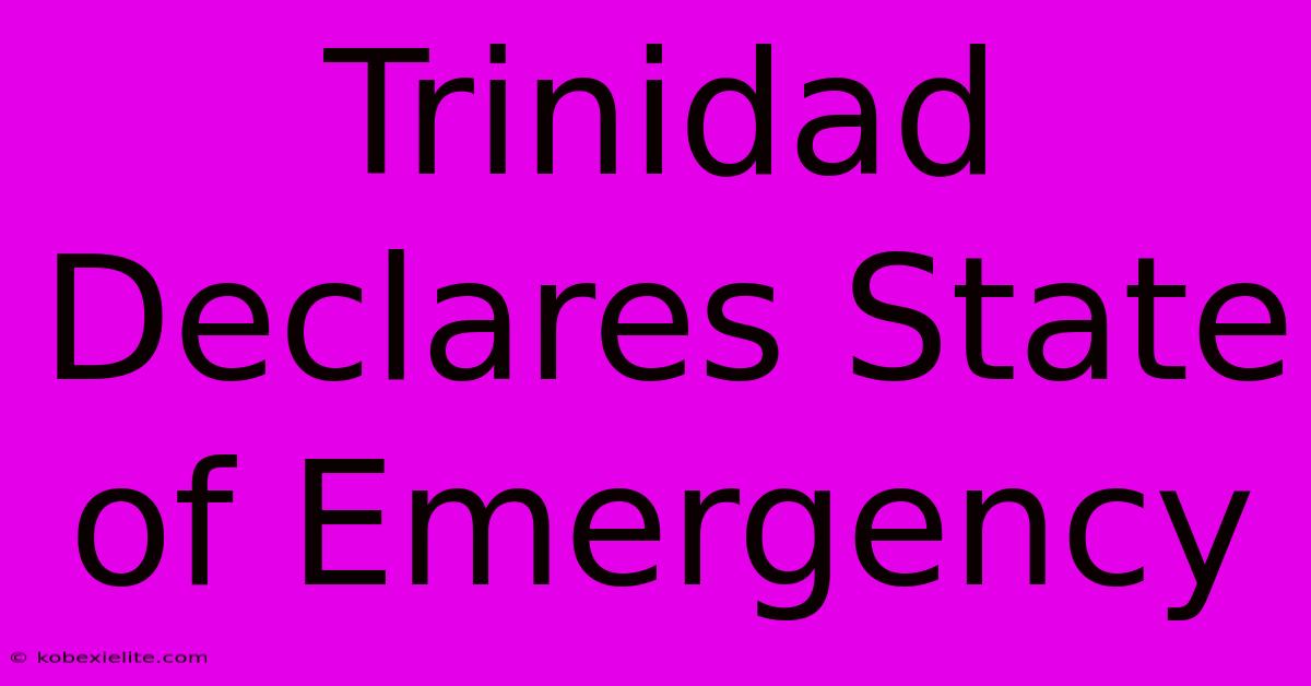 Trinidad Declares State Of Emergency