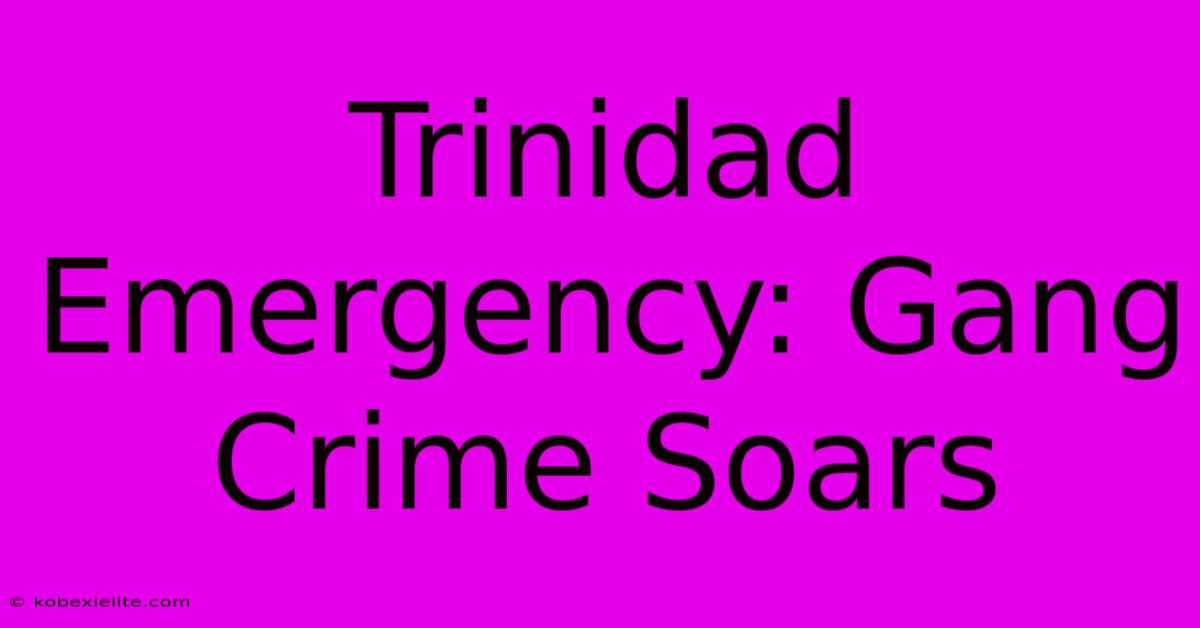 Trinidad Emergency: Gang Crime Soars