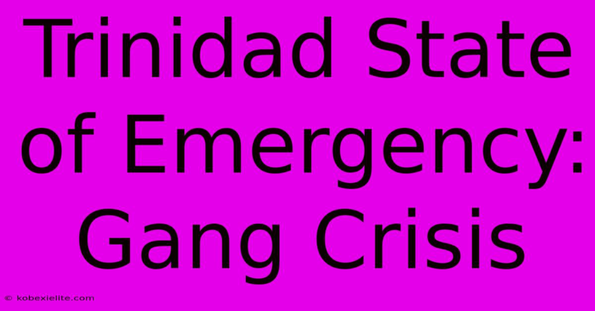 Trinidad State Of Emergency: Gang Crisis