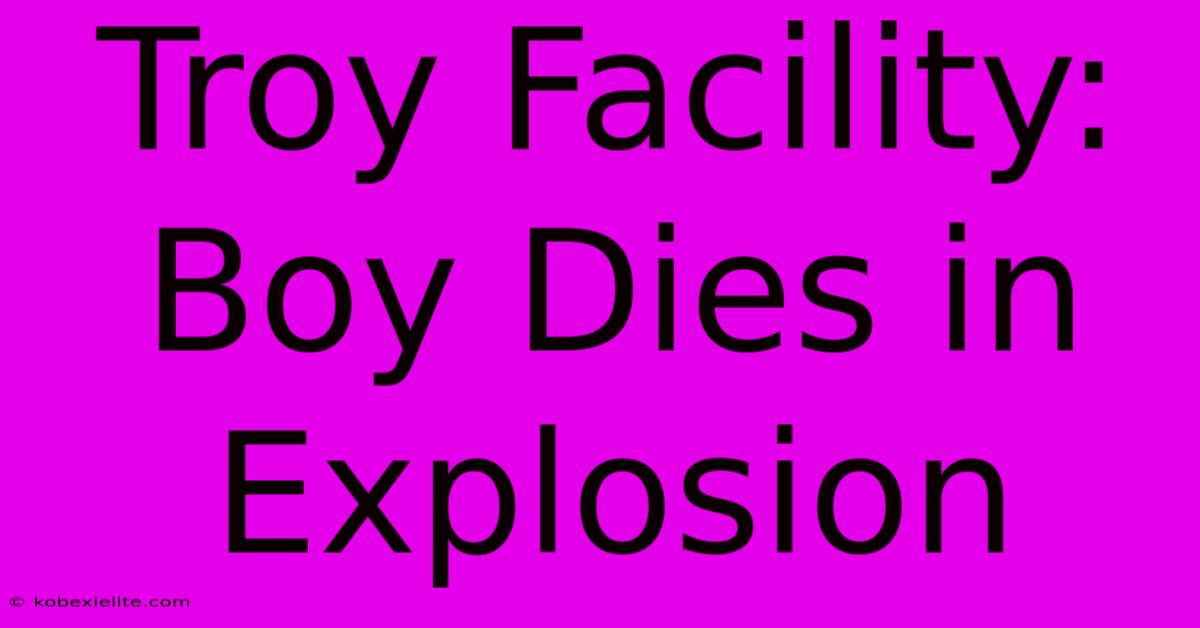 Troy Facility: Boy Dies In Explosion