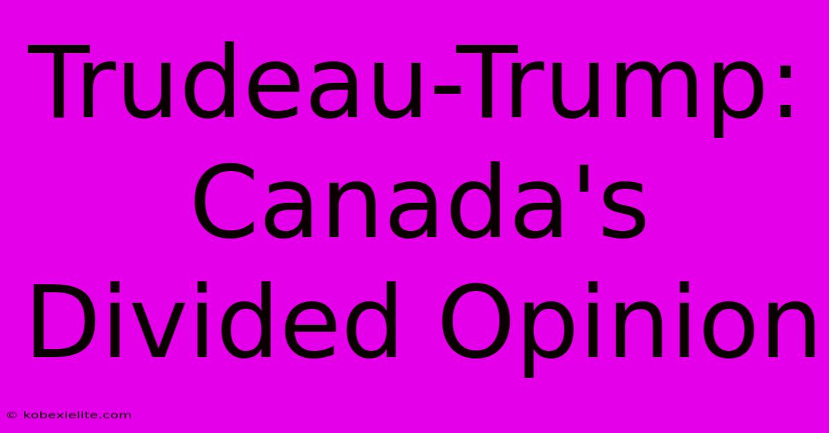 Trudeau-Trump: Canada's Divided Opinion