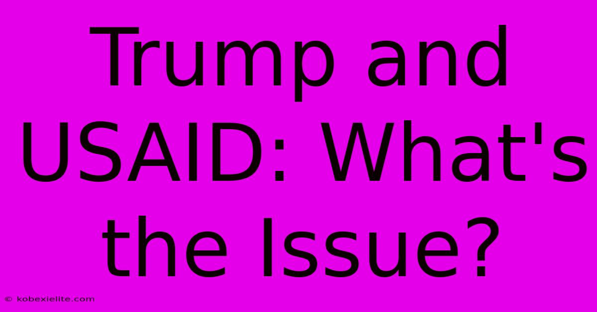 Trump And USAID: What's The Issue?